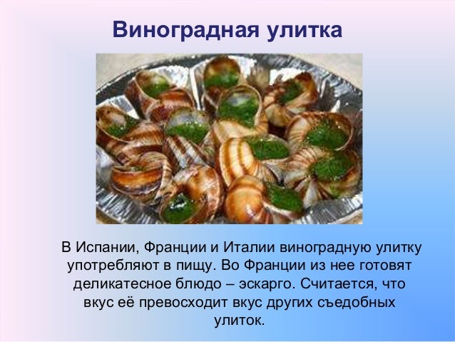 Карточки Работа с Текстом 1 Класс