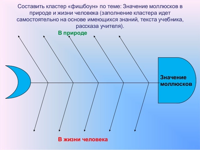 роль паразитов в природе и жизни человека роль паразитов в природе и жизни человека