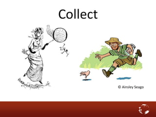 Collect
© Ainsley Seago
 