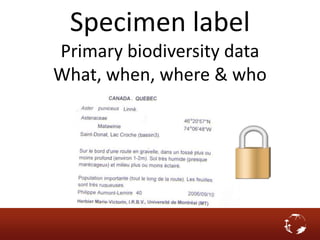 Specimen label
Primary biodiversity data
What, when, where & who
 