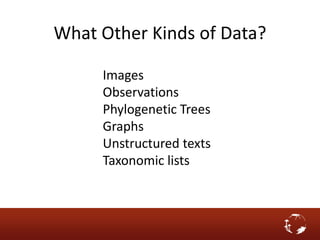 What Other Kinds of Data?
Images
Observations
Phylogenetic Trees
Graphs
Unstructured texts
Taxonomic lists
 