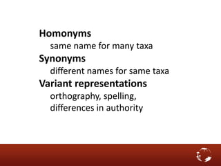 Homonyms
same name for many taxa
Synonyms
different names for same taxa
Variant representations
orthography, spelling,
differences in authority
 