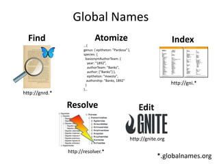 *.globalnames.org
Edit
http://gnite.org
Index
http://gni.*
Atomize
…{
genus: { epitheton: "Pardosa" },
species: {
basionymAuthorTeam: {
year: "1892”,
authorTeam: "Banks",
author: ["Banks”] },
epitheton: "moesta",
authorship: "Banks, 1892"
}
}…
Resolve
http://resolver.*
Find
http://gnrd.*
Global Names
 