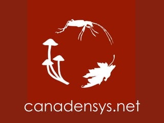 canadensys.net
 