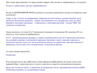 Днк в моем представлении это такая длинная спираль. Она там как-то заворачивается, это понятно.
См рис 4, чтобы понять, как она «заворачивается».
Но как из НЕПРЕРЫВНОЙ НИТИ получаются отдельные хромосомы и почему их конкретно такое
количество?
Секрет в том, что нить не непрерывная, а разрезана на число кусков, соответствующее числу
хромосом. Количество хромосом – вопрос для понимания того, как работают гены, не очень
важный (у некоторых насекомых – 2 хромосомы, у некоторых растений – больше 1000). Так
сложилось исторически.
Также непонятно, что такое Х и У хромосома (я понимаю что женщины ХХ, мужчины ХУ, но
смысла от этого совсем не прибавляется),
Х и Y – хромосомы разного размера, а главное, несущие разные гены. В Y-хромосоме находится
ген, который на раннем этапе развития зародыша «включает» синтез мужских гормонов, и
получается мальчик. Если этот ген не включается (иногда это происходит даже при наличии Y-
хромосомы, если в генах что-то испортилось), то получается девочка.
что такое лишняя хромосома.
См. рисунки.
Я не понимаю как из двух ДНК папы и мамы образуется ДНК ребенка. В голове только один
дурацкий образ - взяли одну нить от одого и одну нить от другого и механически соединили.
Почти так. Только не «нить», а хромосому (в которой две «нити», двуспиральная молекула ДНК).
Чтобы было понятнее, см. иллюстрации и видео.
 