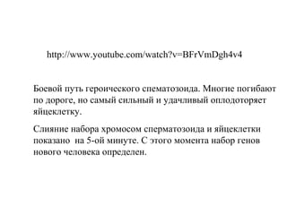 http://www.youtube.com/watch?v=BFrVmDgh4v4
Боевой путь героического сперматозоида. Многие
погибают по дороге, но самый сильный и удачливый
оплодоторяет яйцеклетку.
Слияние набора хромосом сперматозоида и яйцеклетки
показано на 5-ой минуте. С этого момента набор генов
нового человека определен.
 
