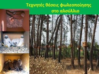 Σεχνθτζσ κζςεισ φωλεοποίθςθσ
ςτο αλςφλλιο
 