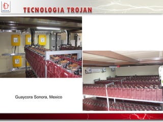 Guaycora Sonora, Mexico
 