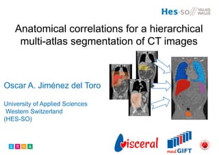 Anatomical correlations for a hierarchical
multi-atlas segmentation of CT images
Oscar A. Jiménez del Toro
University of Applied Sciences
Western Switzerland
(HES-SO)
 