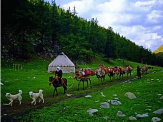 алмаш 20143ж ақтау