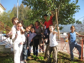 στ τάξη 2014