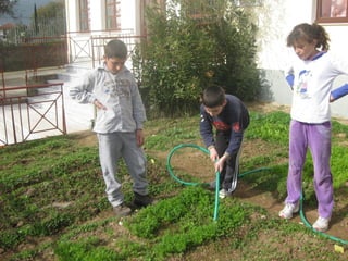 στ τάξη 2014
