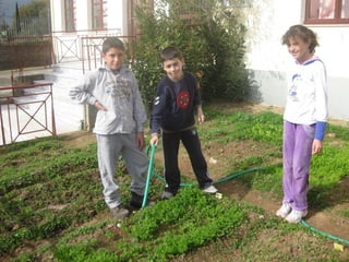 στ τάξη 2014