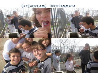 ΕΚΤΕΛΟΥΣΑΜΕ ΠΡΟΓΡΑΜΜΑΤΑ
 