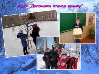 Акція “Допоможи птахам взимкуАкція “Допоможи птахам взимку””
 