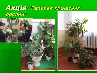 АкціяАкція “Галерея кімнатних“Галерея кімнатних
рослин”рослин”
 