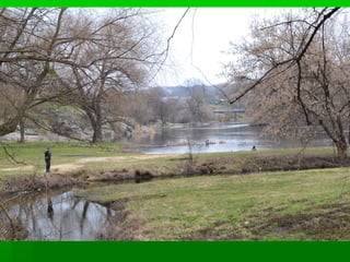 водограй 2014