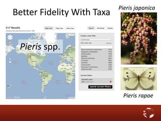 Pieris spp.
Pieris japonica
Pieris rapae
Better Fidelity With Taxa
 