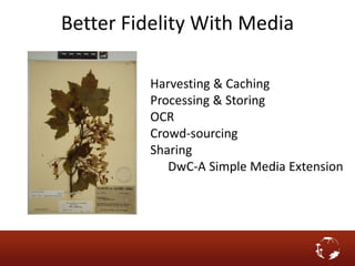 Better Fidelity With Media
Harvesting & Caching
Processing & Storing
OCR
Crowd-sourcing
Sharing
DwC-A Simple Media Extension
 