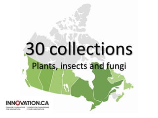30 collections
Plants, insects and fungi
 