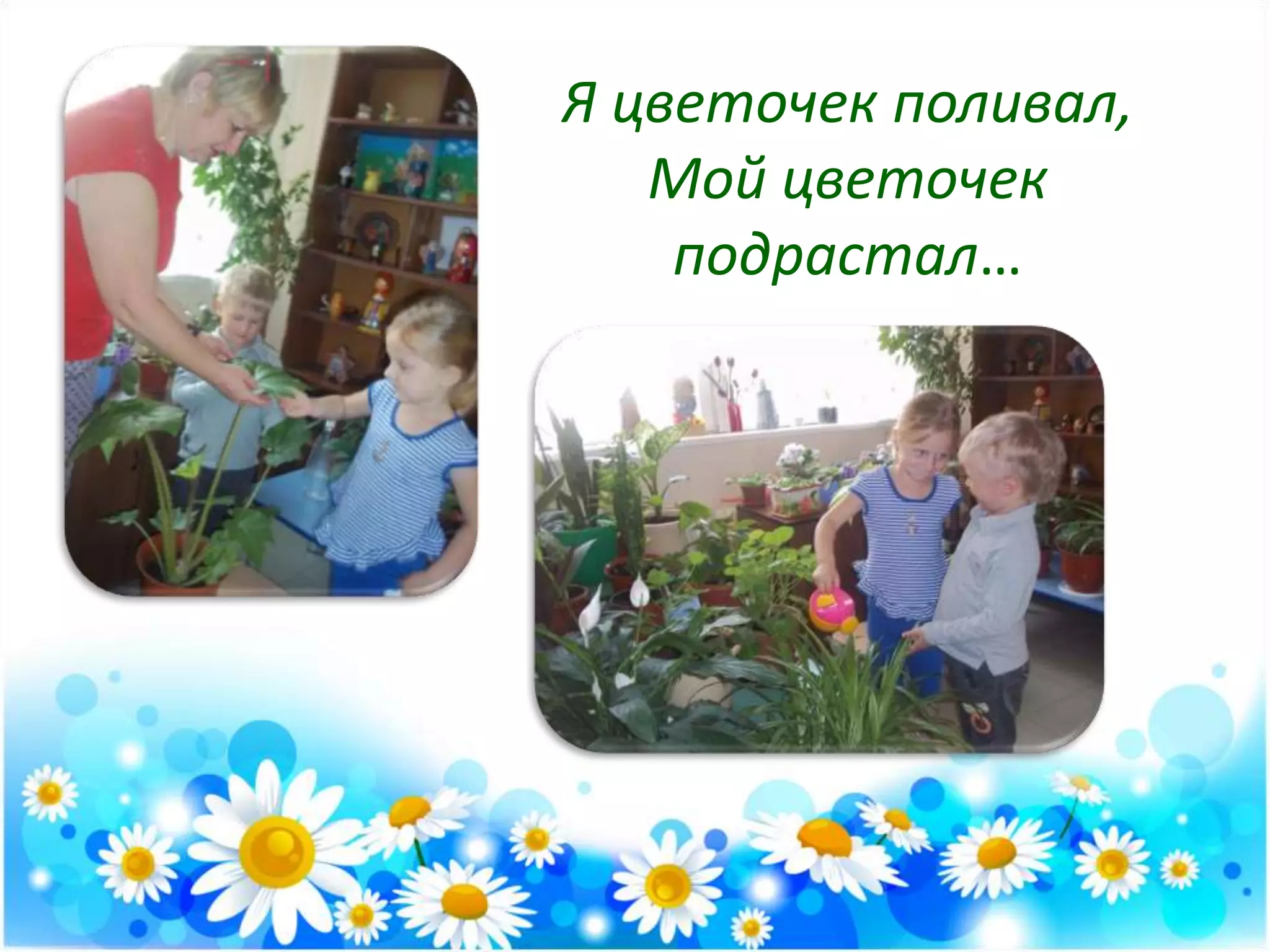 Я цветочек поливал,
Мой цветочек
подрастал…
 