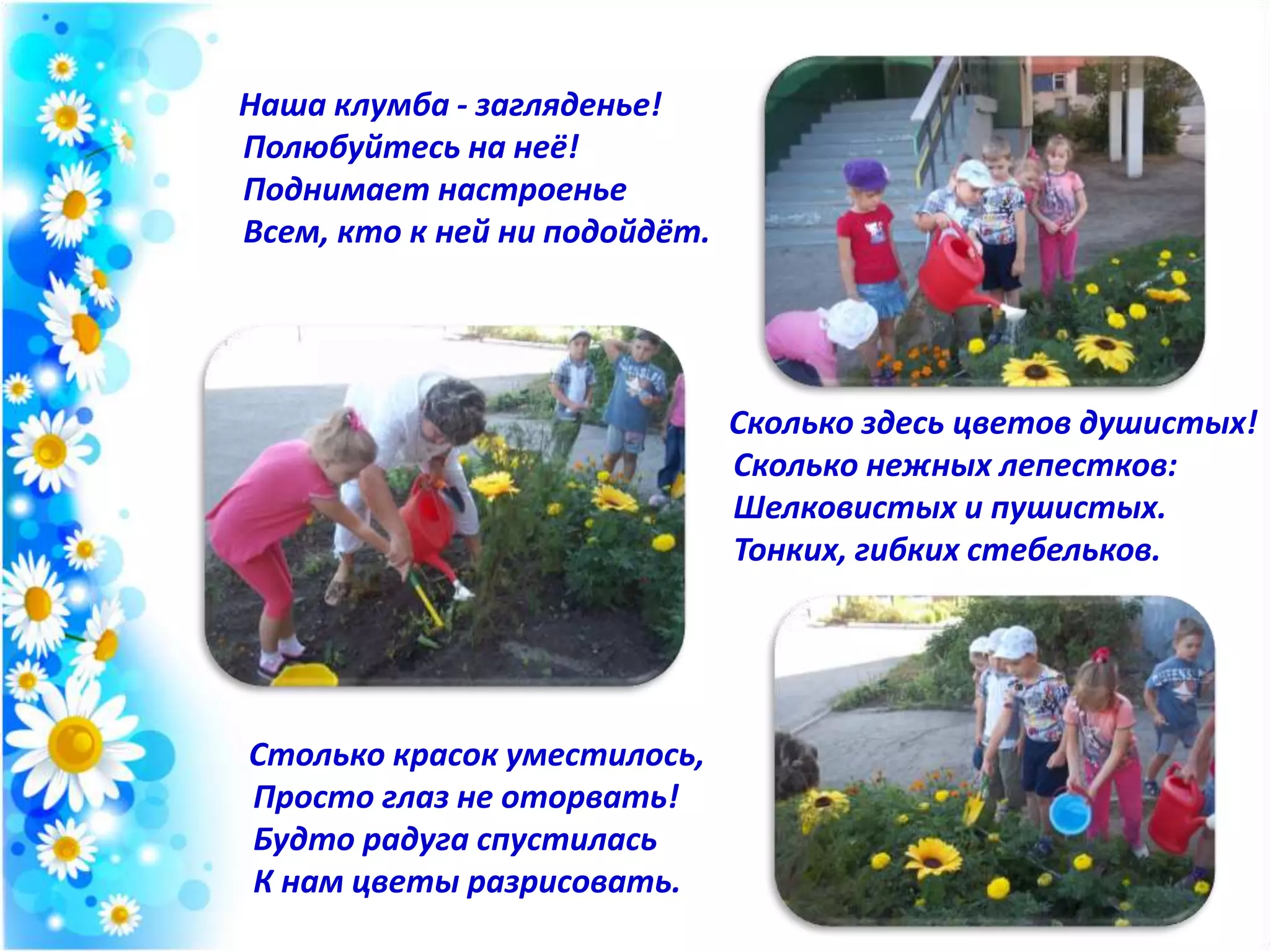 Наша клумба - загляденье!
Полюбуйтесь на неё!
Поднимает настроенье
Всем, кто к ней ни подойдёт.
Сколько здесь цветов душистых!
Сколько нежных лепестков:
Шелковистых и пушистых.
Тонких, гибких стебельков.
Столько красок уместилось,
Просто глаз не оторвать!
Будто радуга спустилась
К нам цветы разрисовать.
 