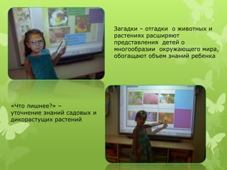 Загадки – отгадки о животных и 
растениях расширяют 
представления детей о 
многообразии окружающего мира, 
обогащают объем знаний ребенка 
«Что лишнее?» – 
уточнение знаний садовых и 
дикорастущих растений 
 