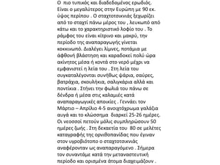Ο πιο τυπικός και διαδεδομένος ερωδιός. 
Είναι ο μεγαλύτερος στην Ευρώπη με 90 εκ. 
ύψος περίπου . Ο σταχτοτσικνιάς ξεχωρίζει 
από το σταχτί πάνω μέρος του , λευκωπό από 
κάτω και το χαρακτηριστικό λοφίο του . Το 
ράμφος του είναι κίτρινο και μακρύ, την 
περίοδο της αναπαραγωγής γίνεται 
κοκκινωπό. Διαλέγει λίμνες, ποτάμια με 
άφθονή βλάστηση και καραδοκεί πολύ ώρα 
ακίνητος μέσα ή κοντά στο νερό μέχρι να 
εμφανιστεί η λεία του . Στη λεία του 
συγκαταλέγονται συνήθως ψάρια, σαύρες, 
βατράχια, σκουλήκια, σαλιγκάρια αλλά και 
ποντίκια . Στήνει την φωλιά του πάνω σε 
δένδρα ή μέσα στις καλαμιές κατά 
αναπαραγωγικές αποικίες . Γεννάει τον 
Μάρτιο – Απρίλιο 4-5 ανοιχτόχρωμα γαλάζια 
αυγά και το κλώσσημα διαρκεί 25-26 ημέρες. 
Οι νεοσσοί πετούν μόλις συμπληρώσουν 50 
ημέρες ζωής . Στη δεκαετία του 80 σε μελέτες 
καταγραφής της ορνιθοπανίδας που έγιναν 
στον υγροβιότοπο ο σταχτοτσικνιάς 
αναφέρονταν ως αναπαραγόμενο . Σήμερα 
τον συναντάμε κατά την μεταναστευτική 
περίοδο και ορισμένα άτομα διαχειμάζουν . 
 