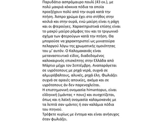 Παρυδάτιο ασπρόμαυρο πουλί (43 εκ.), με 
πολύ μακριά κόκκινα πόδια τα οποία 
προεξέχουν πολύ από την ουρά κατά την 
πτήση. Άσπρο χρώμα έχει στο στήθος στην 
κοιλιά και στην ουρά, ενώ μαύρη είναι η ράχη 
και οι φτερούγες. Χαρακτηριστικά επίσης είναι 
το μακρύ μαύρο ράμφος του και το τριγωνικό 
σχήμα των φτερούγων κατά την πτήση. Θα 
μπορούσε να χαρακτηριστεί ως μινιατούρα 
πελαργού λόγω της χρωματικής ομοιότητας 
του μ’ αυτόν. Ο Καλομακανάς είναι 
μεταναστευτικό είδος, διαδεδομένος 
καλοκαιρινός επισκέπτης στην Ελλάδα από 
Μάρτιο μέχρι τον Σεπτέμβρη. Αναπαράγεται 
σε υγρότοπους με ρηχά νερά, συχνά σε 
αλμυρόβαλτους, αλυκές, ρηχά έλη. Φωλιάζει 
συχνά σε αραιές αποικίες, ακόμα και σε 
υγρότοπους άν δεν παρενοχλείται. 
Η επιστημονική ονομασία himantopus, είναι 
ελληνική (ιμάντας + πους) και συσχετίζεται, 
όπως και η λαϊκή ονομασία καλαμοκανάς με 
τα λεπτά σαν ιμάντες ή σαν καλάμια πόδια 
του πτηνού. 
Τρέφετε κυρίως με έντομα και είναι ανήσυχος 
όταν φωλιάζει. 
 