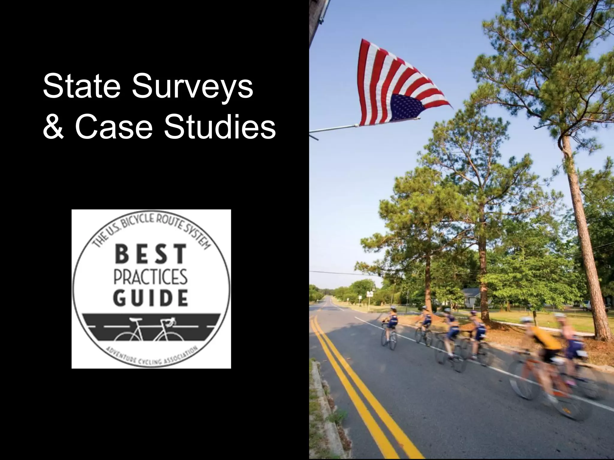 State Surveys & Case Studies 