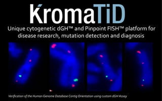Unique 
cytogenetic 
dGH™ 
and 
Pinpoint 
FISH™ 
platform 
for 
disease 
research, 
mutation 
detection 
and 
diagnosis 
Verification 
of 
the 
Human 
Genome 
Database 
Contig 
Orientation 
using 
custom 
dGH 
Assay 
 