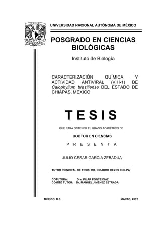 UNIVERSIDAD NACIONAL AUTÓNOMA DE MÉXICO
POSGRADO EN CIENCIAS
BIOLÓGICAS
Instituto de Biología
CARACTERIZACIÓN QUÍMICA Y
ACTIVIDAD ANTIVIRAL (VIH-1) DE
Calophyllum brasiliense DEL ESTADO DE
CHIAPAS, MÉXICO
T E S I S
QUE PARA OBTENER EL GRADO ACADÉMICO DE
DOCTOR EN CIENCIAS
P R E S E N T A
JULIO CÉSAR GARCÍA ZEBADÚA
TUTOR PRINCIPAL DE TESIS: DR. RICARDO REYES CHILPA
COTUTORA: Dra. PILAR PONCE DÍAZ
COMITÉ TUTOR: Dr. MANUEL JIMÉNEZ ESTRADA
MÉXICO, D.F. MARZO, 2012
 