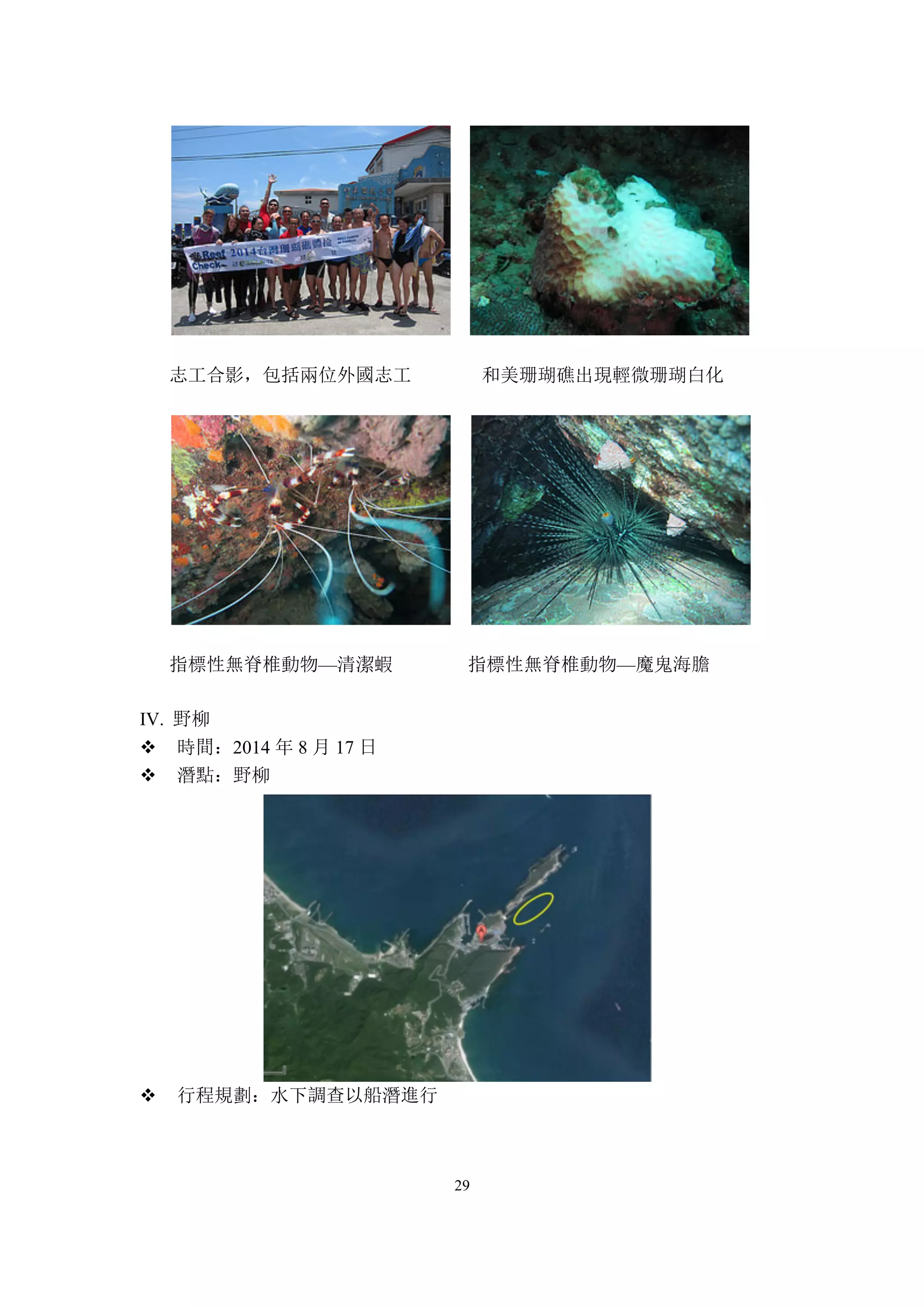 29
志工合影，包括兩位外國志工 和美珊瑚礁出現輕微珊瑚白化
指標性無脊椎動物—清潔蝦 指標性無脊椎動物—魔鬼海膽
IV. 野柳
v 時間：2014 年 8 月 17 日
v 潛點：野柳
v 行程規劃：水下調查以船潛進行
 