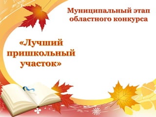 Муниципальный этап
областного конкурса