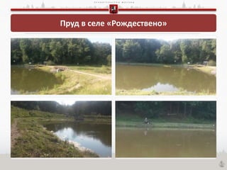 П Р А В И Т Е Л Ь С Т В О М О С К В Ы
Пруд в селе «Рождествено»
 