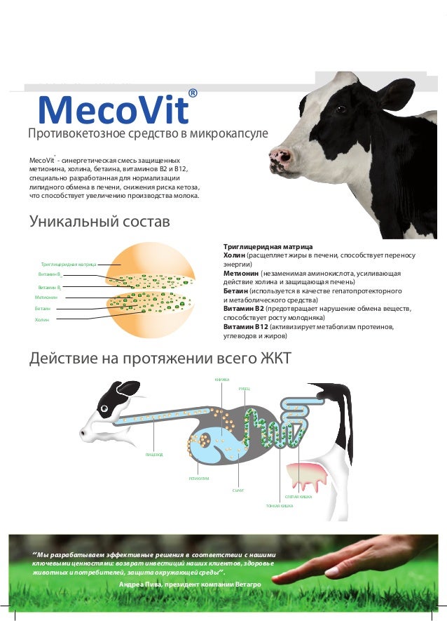 Mekovit_2
