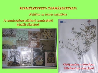 TERMÉSZETESEN TERMÉSZETESEN!
Kiállítás az iskola aulájában
A természetben található termésekből
készült alkotások
Gyűjtemény a közelben
fellelhető növényekből
 