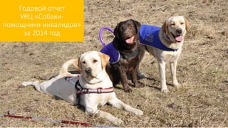 Годовой отчет
УКЦ «Собаки-
помощники инвалидов»
за 2014 год
 