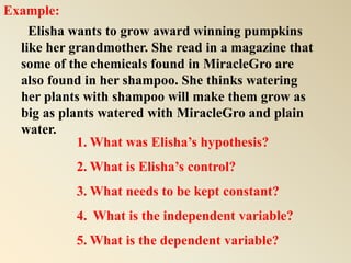 Example: 
Elisha wants to grow award winning pumpkins 
like her grandmother. She read in a magazine that 
some of the chemicals found in MiracleGro are 
also found in her shampoo. She thinks watering 
her plants with shampoo will make them grow as 
big as plants watered with MiracleGro and plain 
water. 
1. What was Elisha’s hypothesis? 
2. What is Elisha’s control? 
3. What needs to be kept constant? 
4. What is the independent variable? 
5. What is the dependent variable? 
