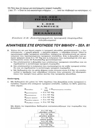 10) Πότε λέμε ότι έχουμε μια ανεστραμμένη τροφική πυραμίδα ;
( σελ. 77 – « Όταν σε ένα οικοσύστημα υπάρχουν … - … από τον πληθυσμό των κατώτερων. » )
ΑΠΑΝΤΗΣΕΙΣ ΣΤΙΣ ΕΡΩΤΗΣΕΙΣ ΤΟΥ ΒΙΒΛΙΟΥ – ΣΕΛ. 81
 