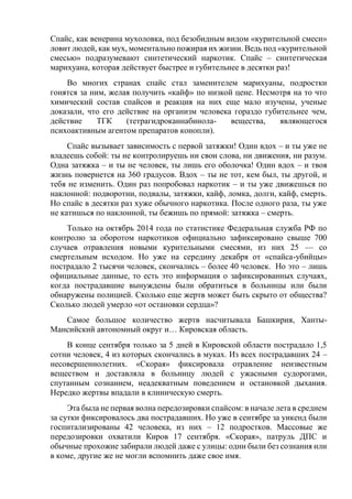 Спайс, как венерина мухоловка, под безобидным видом «курительной смеси»
ловит людей, как мух, моментально пожирая их жизни. Ведь под «курительной
смесью» подразумевают синтетический наркотик. Спайс – синтетическая
марихуана, которая действует быстрее и губительнее в десятки раз!
Во многих странах спайс стал заменителем марихуаны, подростки
гонятся за ним, желая получить «кайф» по низкой цене. Несмотря на то что
химический состав спайсов и реакция на них еще мало изучены, ученые
доказали, что его действие на организм человека гораздо губительнее чем,
действие ТГК (тетрагидроканнабинола- вещества, являющегося
психоактивным агентом препаратов конопли).
Спайс вызывает зависимость с первой затяжки! Один вдох – и ты уже не
владеешь собой: ты не контролируешь ни свои слова, ни движения, ни разум.
Одна затяжка – и ты не человек, ты лишь его оболочка! Один вдох – и твоя
жизнь повернется на 360 градусов. Вдох – ты не тот, кем был, ты другой, и
тебя не изменить. Один раз попробовал наркотик – и ты уже движешься по
наклонной: подворотни, подвалы, затяжки, кайф, ломка, долги, кайф, смерть.
Но спайс в десятки раз хуже обычного наркотика. После одного раза, ты уже
не катишься по наклонной, ты бежишь по прямой: затяжка – смерть.
Только на октябрь 2014 года по статистике Федеральная служба РФ по
контролю за оборотом наркотиков официально зафиксировано свыше 700
случаев отравления новыми курительными смесями, из них 25 — со
смертельным исходом. Но уже на середину декабря от «спайса-убийцы»
пострадало 2 тысячи человек, скончались – более 40 человек. Но это – лишь
официальные данные, то есть это информация о зафиксированных случаях,
когда пострадавшие вынуждены были обратиться в больницы или были
обнаружены полицией. Сколько еще жертв может быть скрыто от общества?
Сколько людей умерло «от остановки сердца»?
Самое большое количество жертв насчитывала Башкирия, Ханты-
Мансийский автономный округ и… Кировская область.
В конце сентября только за 5 дней в Кировской области пострадало 1,5
сотни человек, 4 из которых скончались в муках. Из всех пострадавших 24 –
несовершеннолетних. «Скорая» фиксировала отравление неизвестным
веществом и доставляла в больницу людей с ужасными судорогами,
спутанным сознанием, неадекватным поведением и остановкой дыхания.
Нередко жертвы впадали в клиническую смерть.
Эта была не первая волна передозировки спайсом: в начале лета в среднем
за сутки фиксировалось два пострадавших. Но уже в сентябре за уикенд были
госпитализированы 42 человека, из них – 12 подростков. Массовые же
передозировки охватили Киров 17 сентября. «Скорая», патруль ДПС и
обычные прохожие забирали людей даже с улицы: одни были без сознания или
в коме, другие же не могли вспомнить даже свое имя.
 