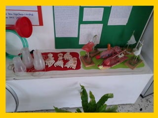 Παίζουμε σήμερα παιχνίδια του χθες Α τάξη 2014-2015