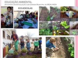 EDUCAÇÃO AMBIENTAL
ATIVIDADES EM ARTICULAÇÃO COM CÂMARA MUNICIPAL DA MEALHADA
ECO-ESCOLAS
 