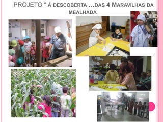 PROJETO “ À DESCOBERTA …DAS 4 MARAVILHAS DA
MEALHADA
 ……
 