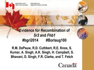 Evidence for Recombination of
Sr2 and Fhb1
#bgri2014 #Borlaug100
R.M. DePauw, R.D. Cuthbert, R.E. Knox, S.
Kumar, A. Singh, A.K. Singh, H. Campbell, S.
Bhavani, D. Singh, F.R. Clarke, and T. Fetch
 