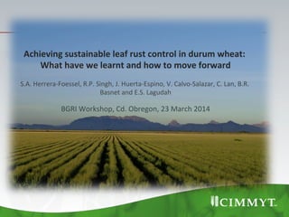 Achieving	
  sustainable	
  leaf	
  rust	
  control	
  in	
  durum	
  wheat:	
  	
  
What	
  have	
  we	
  learnt	
  and	
  how	
  to	
  move	
  forward	
  
	
  
S.A.	
  Herrera-­‐Foessel,	
  R.P.	
  Singh,	
  J.	
  Huerta-­‐Espino,	
  V.	
  Calvo-­‐Salazar,	
  C.	
  Lan,	
  B.R.	
  
Basnet	
  and	
  E.S.	
  Lagudah	
  
	
  
BGRI	
  Workshop,	
  Cd.	
  Obregon,	
  23	
  March	
  2014	
  
 
