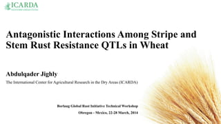 Antagonistic Interactions Among Stripe and
Stem Rust Resistance QTLs in Wheat
Abdulqader Jighly
The International Center for Agricultural Research in the Dry Areas (ICARDA)
Borlaug Global Rust Initiative Technical Workshop
Obregon - Mexico, 22-28 March, 2014
 
