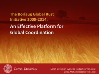 An	
  Eﬀec(ve	
  Pla-orm	
  for	
  
Global	
  Coordina(on	
  
The	
  Borlaug	
  Global	
  Rust	
  
Ini(a(ve	
  2009-­‐2014:	
  
Sarah	
  Davidson	
  Evanega	
  (snd2@cornell.edu)	
  
Linda.McCandless@cornell.edu	
  
 