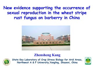 New evidence supporting the occurrence of
sexual reproduction in the wheat stripe
rust fungus on barberry in China
Zhensheng Kang
State Key Laboratory of Crop Stress Biology for Arid Areas,
Northwest A & F University,Yangling, Shaanxi, China
 