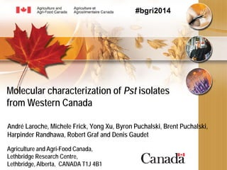 Molecular characterization of Pst isolates
from Western Canada
André Laroche, Michele Frick, Yong Xu, Byron Puchalski, Brent Puchalski,
Harpinder Randhawa, Robert Graf and Denis Gaudet
Agriculture and Agri-Food Canada,
Lethbridge Research Centre,
Lethbridge, Alberta, CANADA T1J 4B1
#bgri2014
 